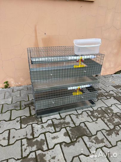 Клетки для перепелов на 60 голов
