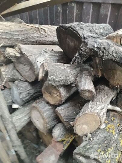 Продам дрова пеньки