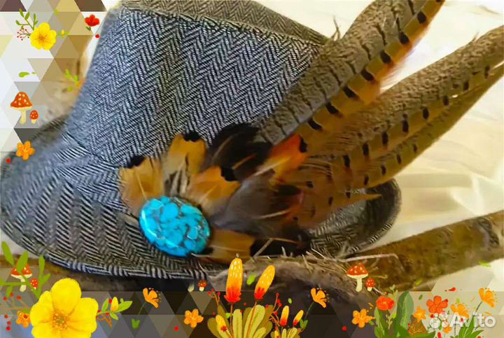 Перо фазана