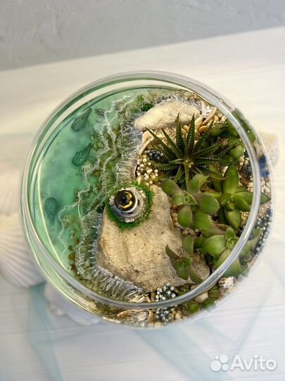 Флорариум с суккулентами Подарок