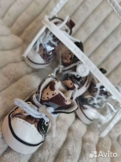 Вещи для собак