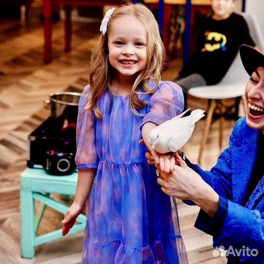 Детский фокусник Аниматоры шоу программы