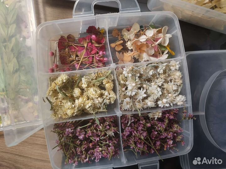 Сухоцветы для творчества, смолы