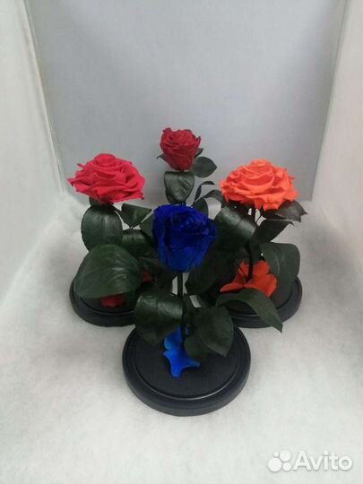 Роза в колбе оптом и в розницу