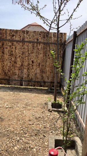 Дом 30 м² на участке 4,5 сот.