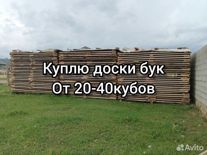 Доска Бук, полуобрез сухая