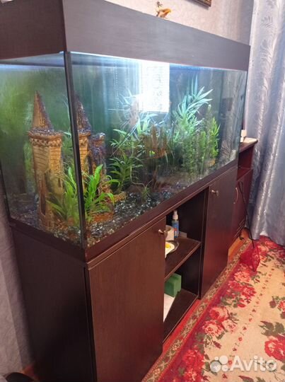 Аквариум