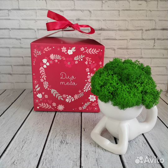 Человечки со стабилизированным мхом