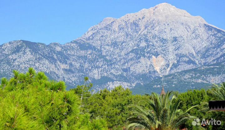 Загрантур в Kemer 7 дн