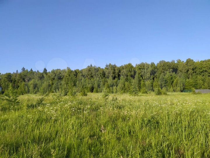 Участок 10 сот. (СНТ, ДНП)