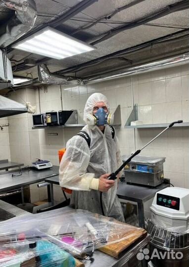 Средство для Уничтожения клопов травля тараканов дезинфекции