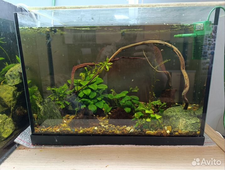 Аквариум