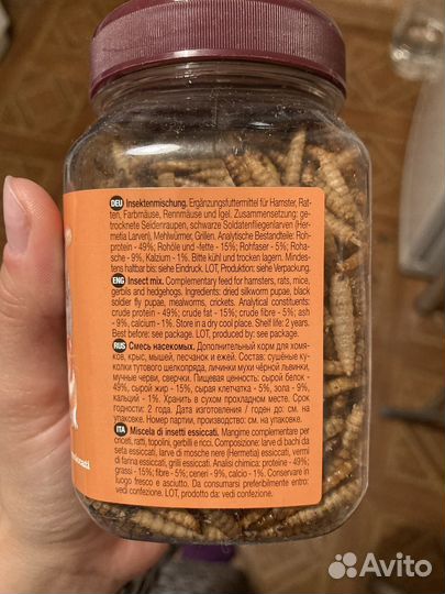 Кормовые насекомые