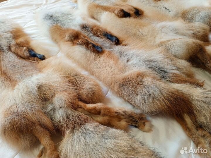 Шкура рыжей лисы