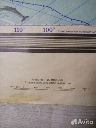 Зоогеографическая карта мира