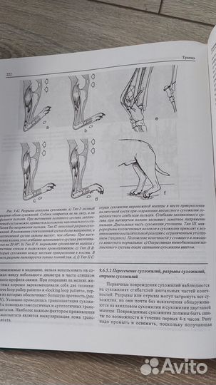 Книга учебник по ветеринарии 
