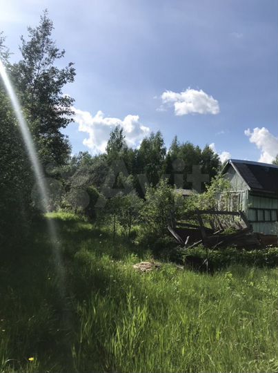 Участок 8 сот. (СНТ, ДНП)
