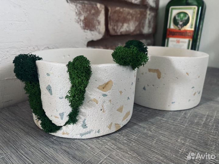 Кашпо для кактусови суккулент