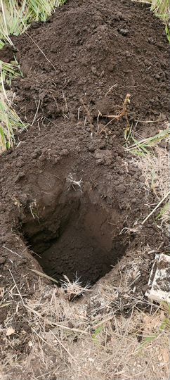 Участок 12 сот. (ИЖС)