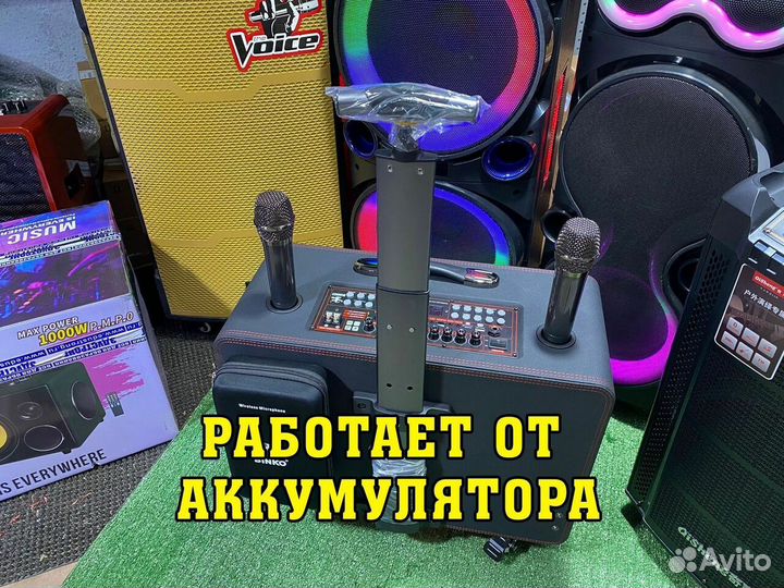 Колонка Binko P1200W c микрофоном и караоке