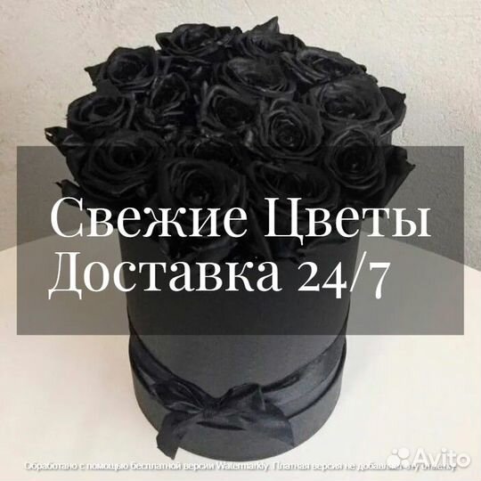 Черные розы