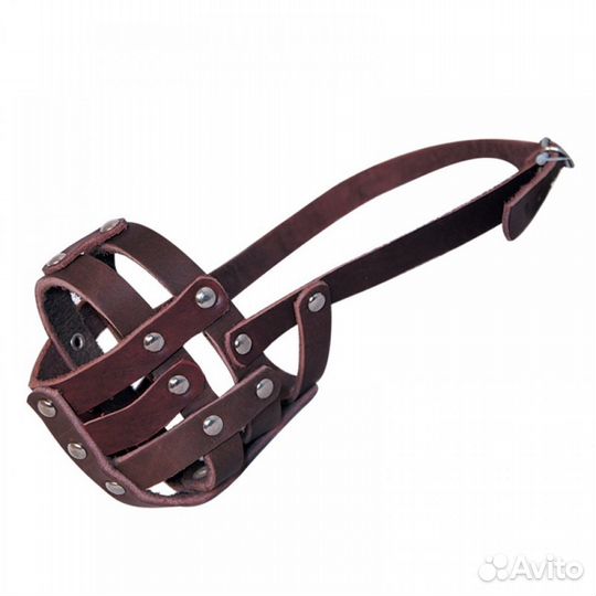 Ошейники для кошек и собак