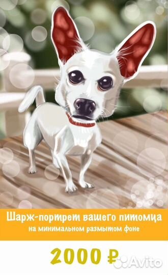 Шарж по фото и на мероприятиях