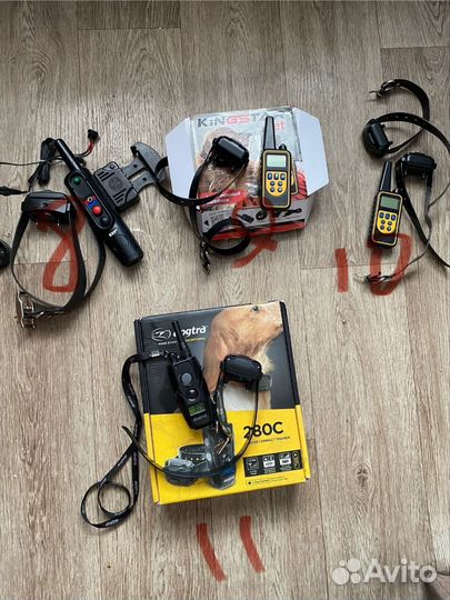 Амуниция для собак