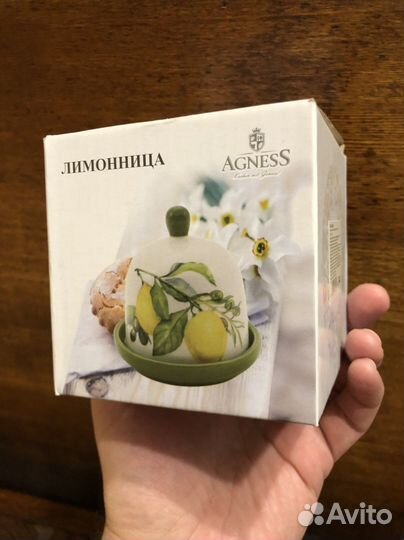 Лимонница Вдохновение Agness