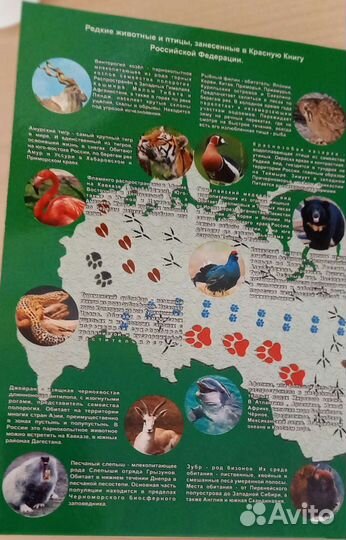 Коллекция монет