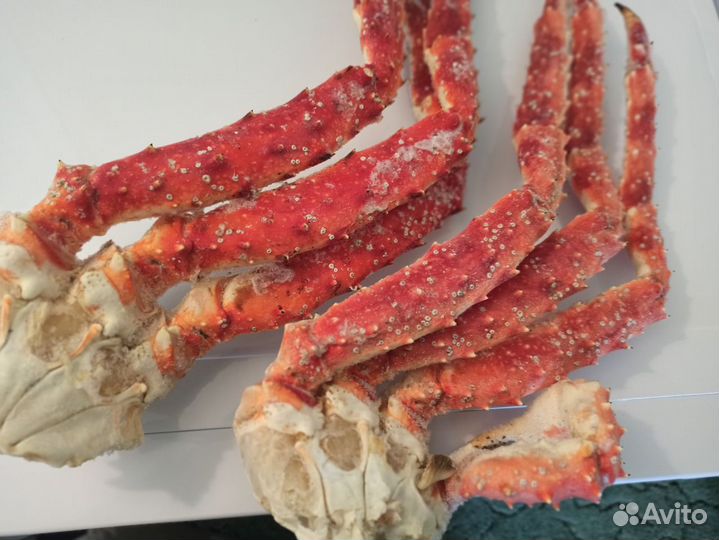 Краб камчатский королевский