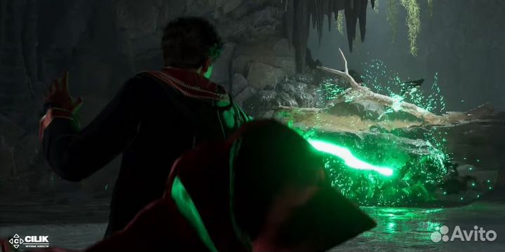 Игра Hogwarts Legacy Standard Edition (PS4, русск