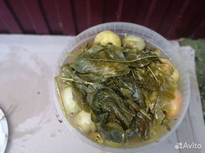 Соленья оптом