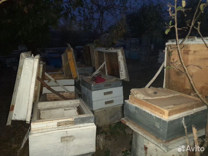 Продаются улии