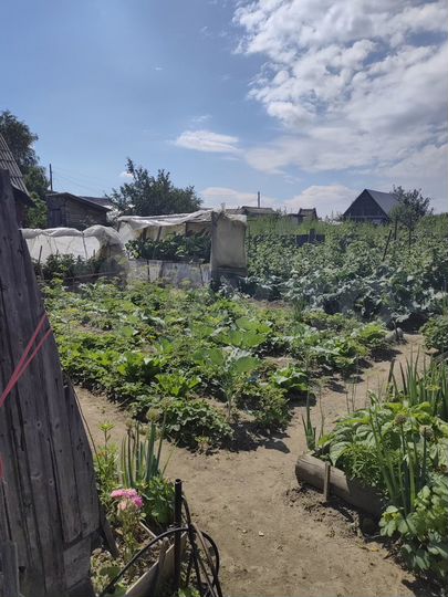 Дача 24 м² на участке 6 сот.