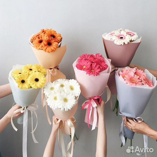 Герберы. Доставка Цветов. Букеты из Герберов