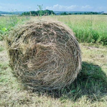 Продам сено в рулонах