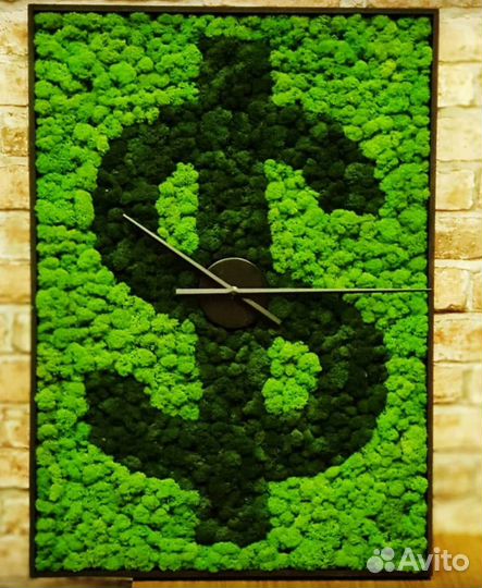 Панно панели фитостены стабилизированный мох