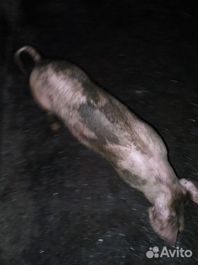 Продаю свое