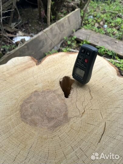 Слэб дерева и спилы