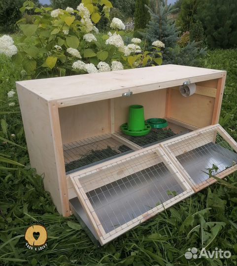 Брудер для цыплят
