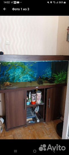 Аквариум juwel 240