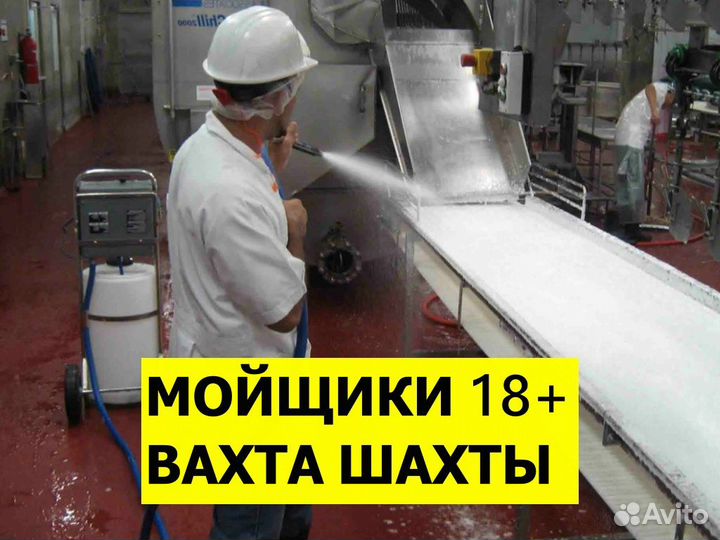 Вахта мойщик / Цех фасовки индейки / Шахты