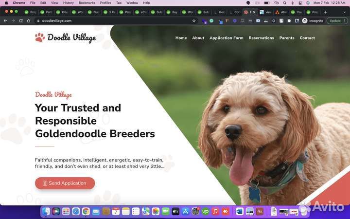 Разработка приложений и сайтов