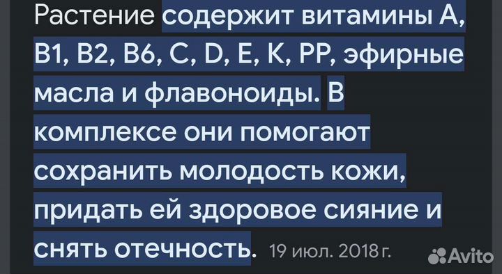 Тархун (эстрагон)