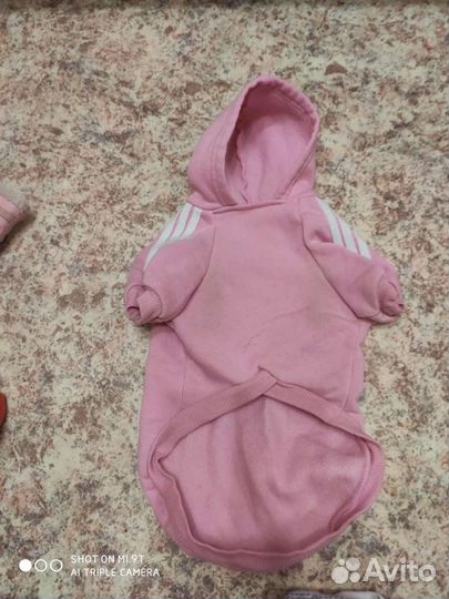 Одежда для собак