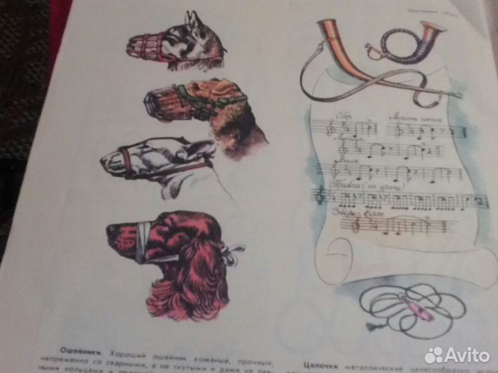 Книги - СССР Птицы. собаки