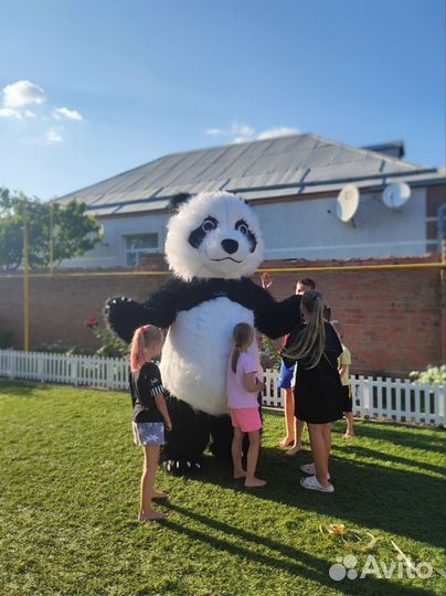 Ростовая кукла Мишка / Панда / живая открытка