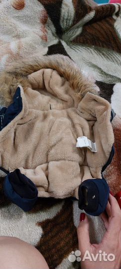 Одежда для маленьких собак