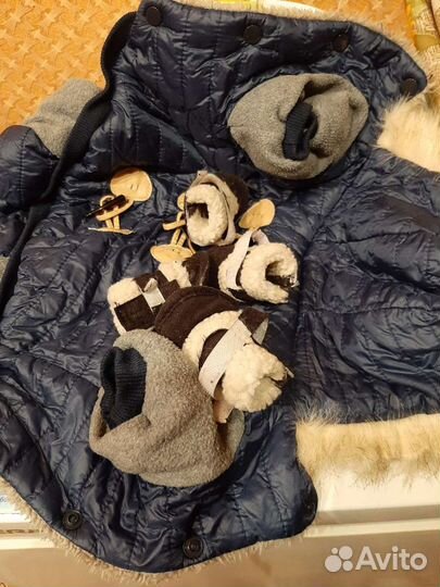 Комбинезон и обувь для собаки
